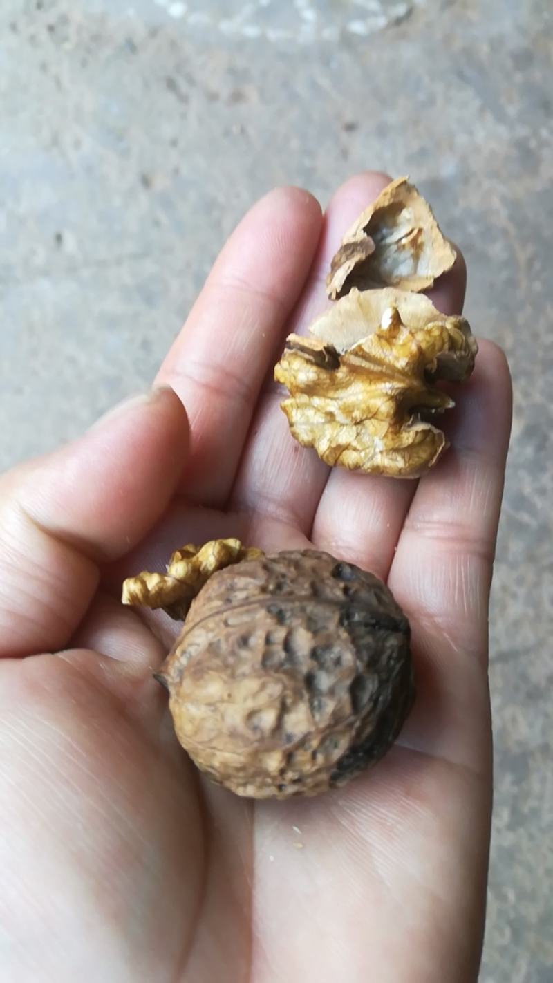 云南弥渡核桃纯手工制作自然风干欢迎联系