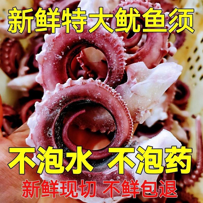 大章鱼须新鲜冷冻章鱼脚冰衣鱿鱼须章鱼足商用冰鲜餐饮食材
