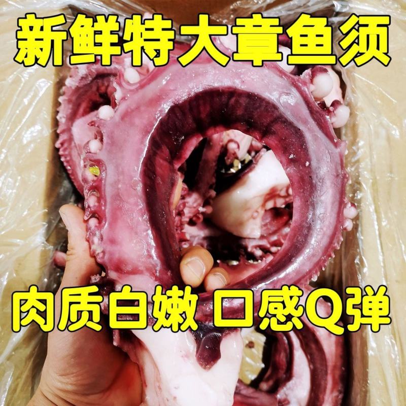 大章鱼须新鲜冷冻章鱼脚冰衣鱿鱼须章鱼足商用冰鲜餐饮食材