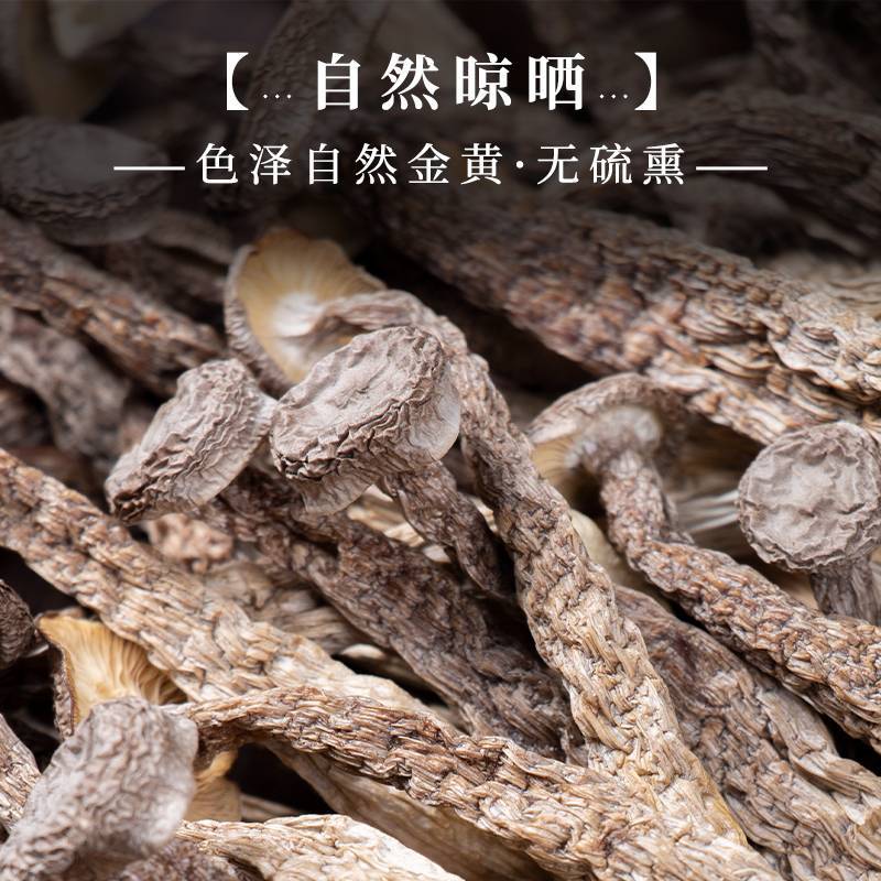 鹿茸菇云南菌菇厂家产地源头批发食用菌菇蘑菇干货特产代发