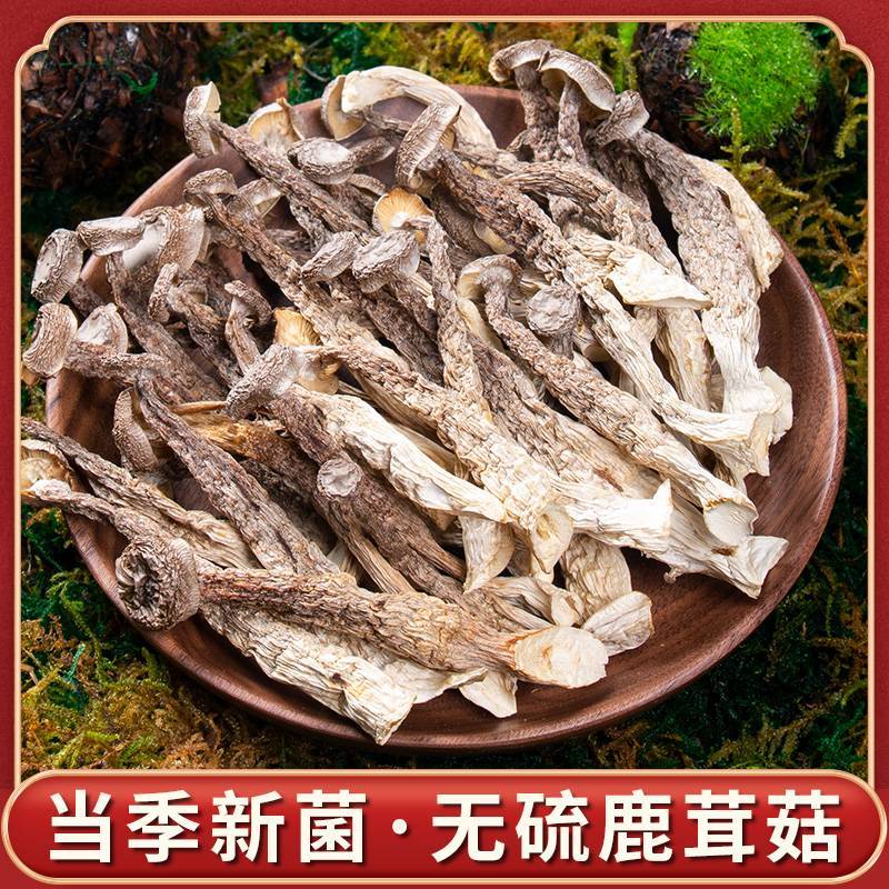 鹿茸菇云南菌菇厂家产地源头批发食用菌菇蘑菇干货特产代发
