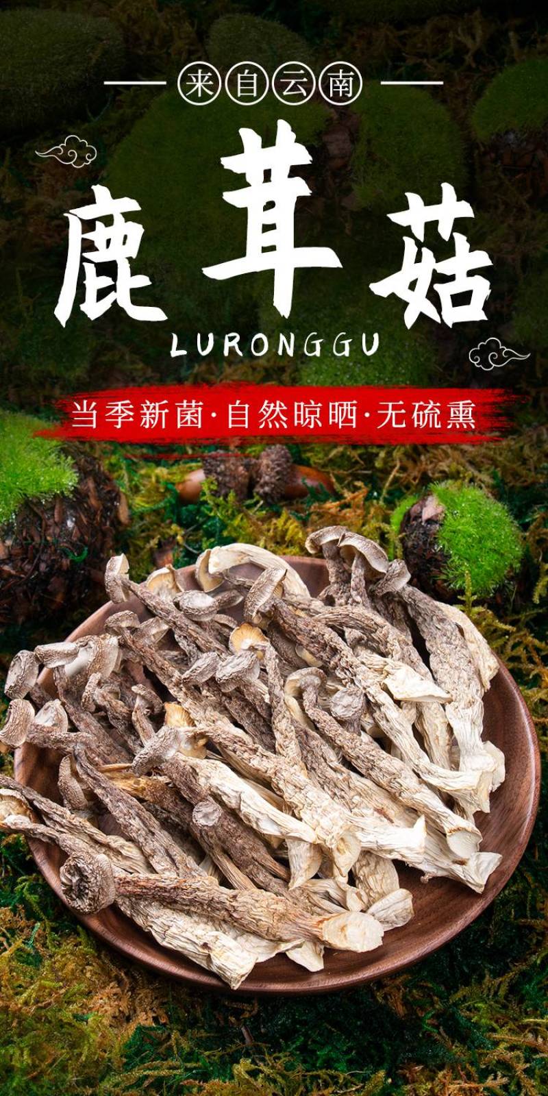 鹿茸菇云南菌菇厂家产地源头批发食用菌菇蘑菇干货特产代发