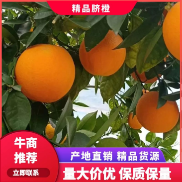湖北精品纽荷尔脐橙，货优，品相好，口感佳，货源充足
