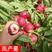 桃树苗新品种珍珠枣油桃蜂蜜口味果园直发死苗补发适应南北方