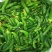 正宗小黄瓜咸菜鲜脆可口特色小咸菜自己腌制黄瓜咸菜山东特产