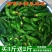 正宗小黄瓜咸菜鲜脆可口特色小咸菜自己腌制黄瓜咸菜山东特产