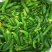 正宗小黄瓜咸菜鲜脆可口特色小咸菜自己腌制黄瓜咸菜山东特产
