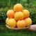 桃树苗新品种黄油桃（冰糖脆）冰糖口味果园直发死苗补发