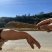 甜当归干当归西归大凉山甜当归鲜当归