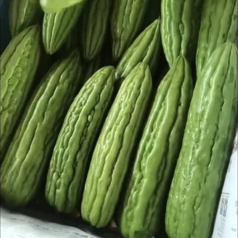 现摘现发，货源充足，品质保证，诚信经营，支持各种包装