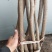 糖槭树苗，东北地区抗寒绿化树，适合全国安家落户。