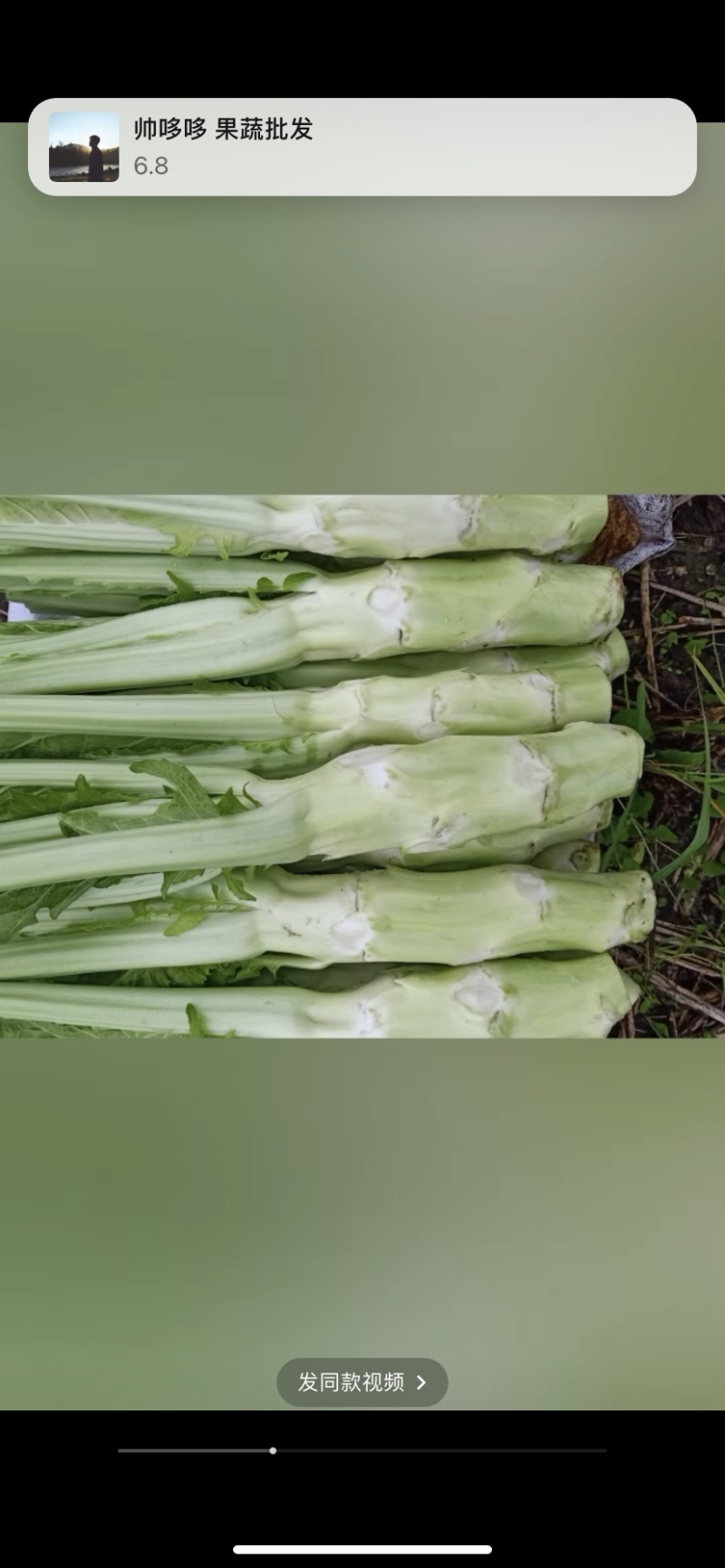 儿菜。大心子儿菜，小心子儿菜。四川出品必属精品