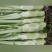 儿菜。大心子儿菜，小心子儿菜。四川出品必属精品