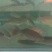 鸭绿江水产品，品种齐全，价格多样，欢迎各界人士订购。