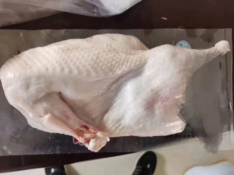 半片鸭