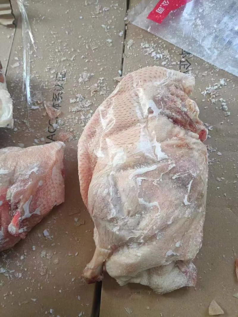 半片鸭
