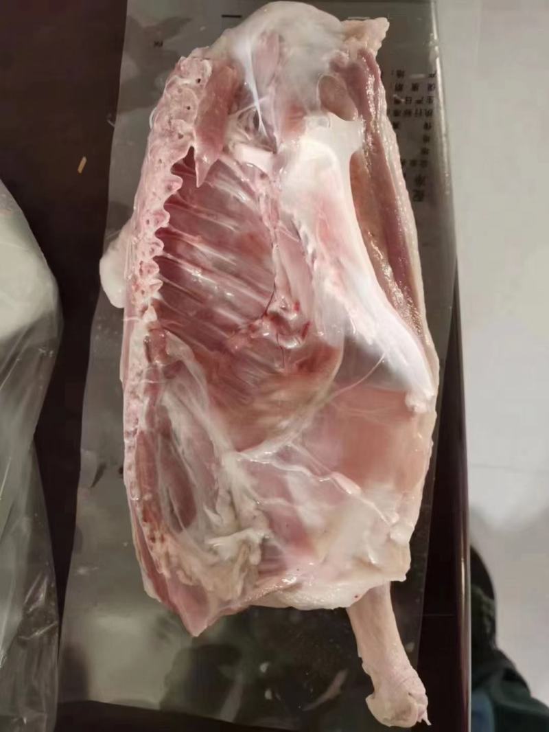 半片鸭