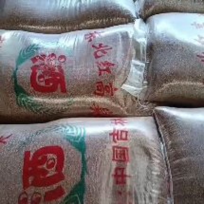 东北红高粱颗粒大品质保证量大优惠产地直发欢迎咨询
