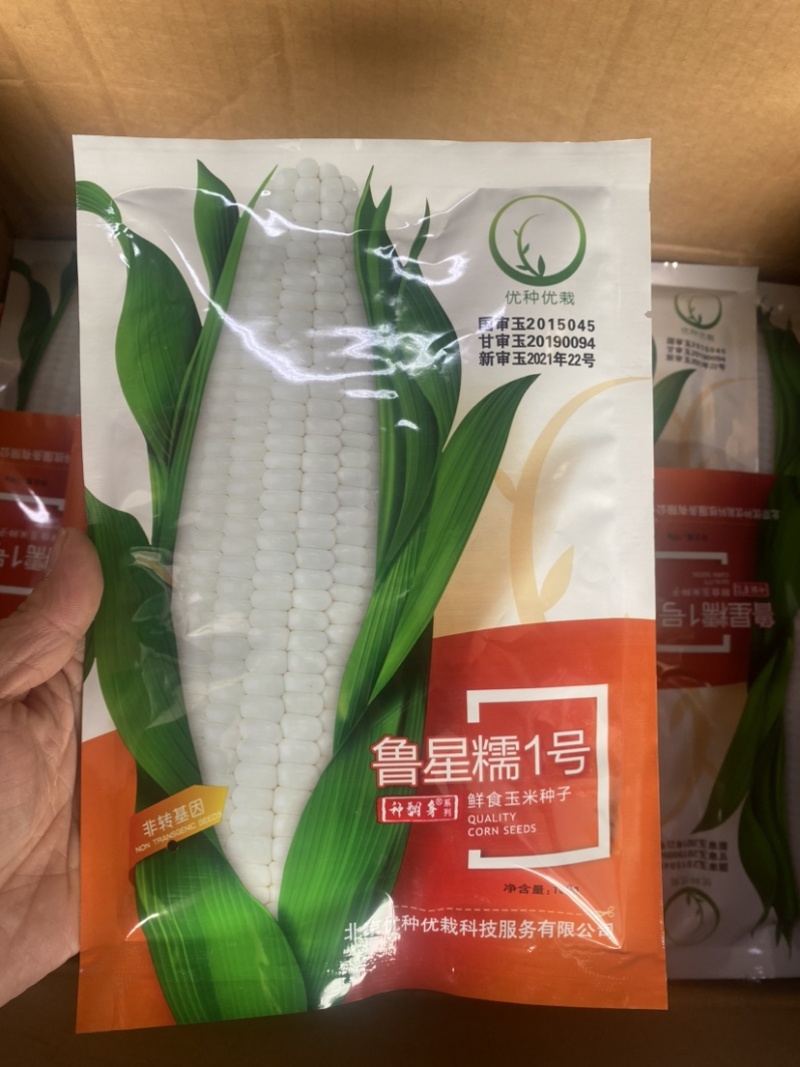 鲁星糯一号白糯玉米种子鲜穗干籽均可销售四五千密度