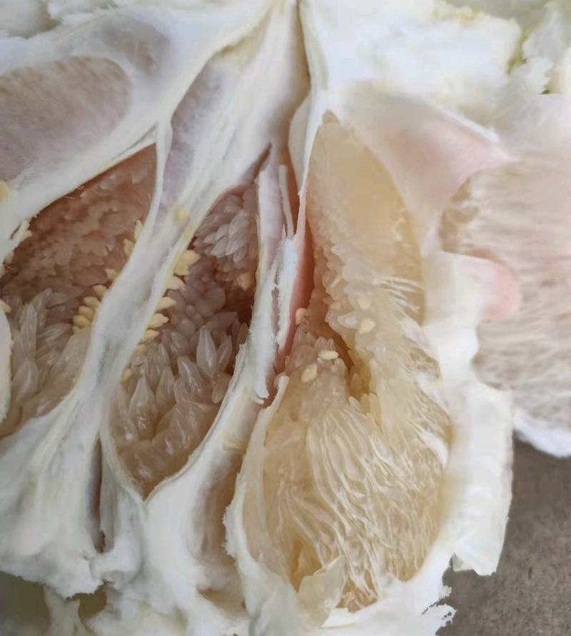 湖北柚子白柚琯溪蜜柚白心柚产地直供甜美多汁全国发货