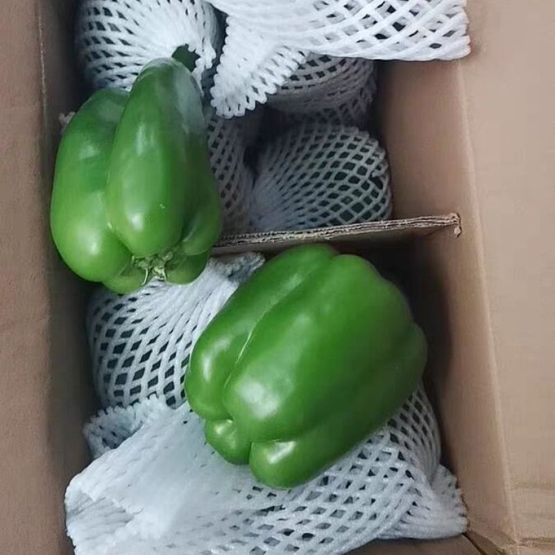 圆椒，菜椒大量上市质优价廉，对接批发档口商超采购商