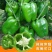 圆椒，菜椒大量上市质优价廉，对接批发档口商超采购商