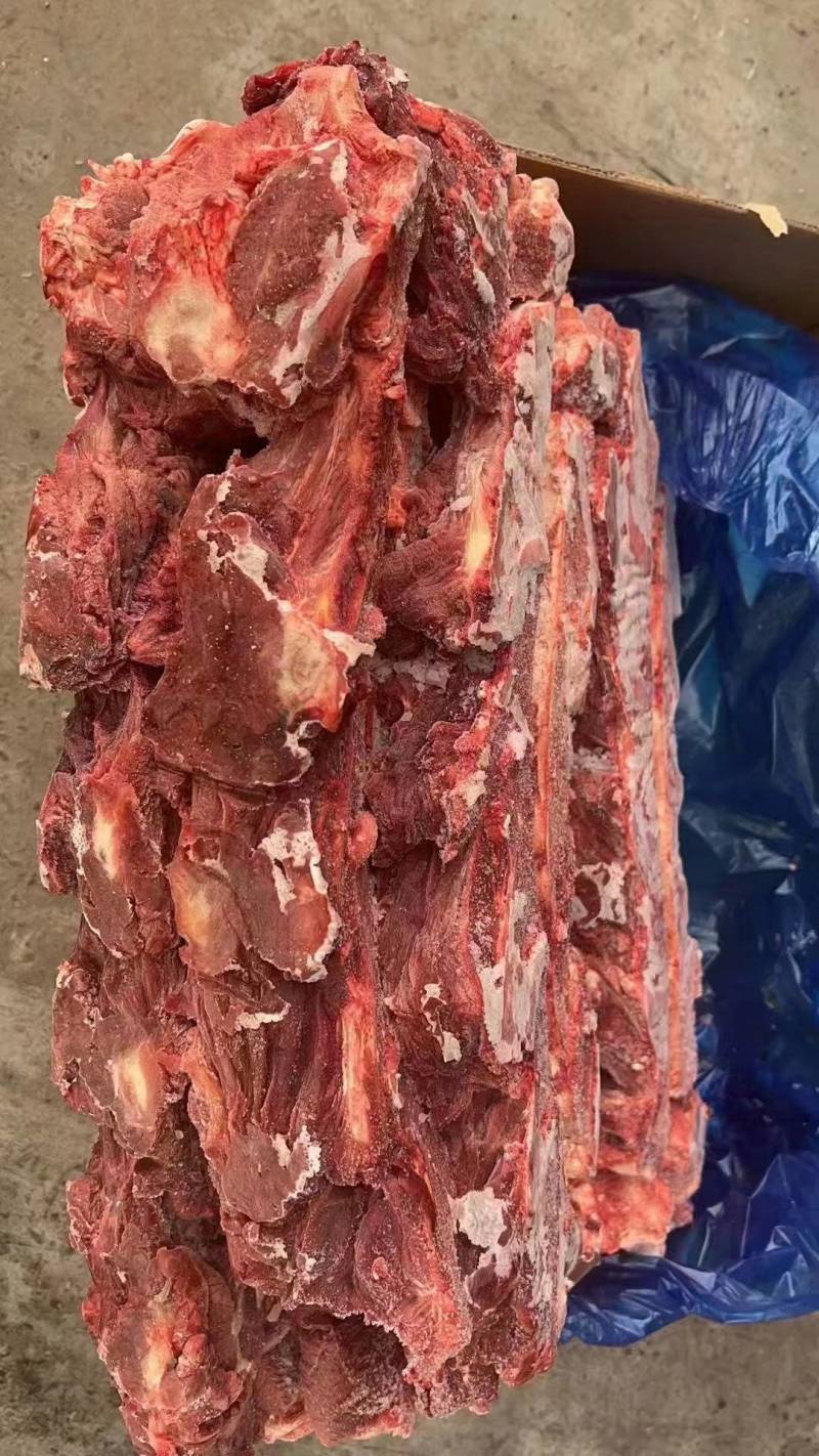 牛脖骨