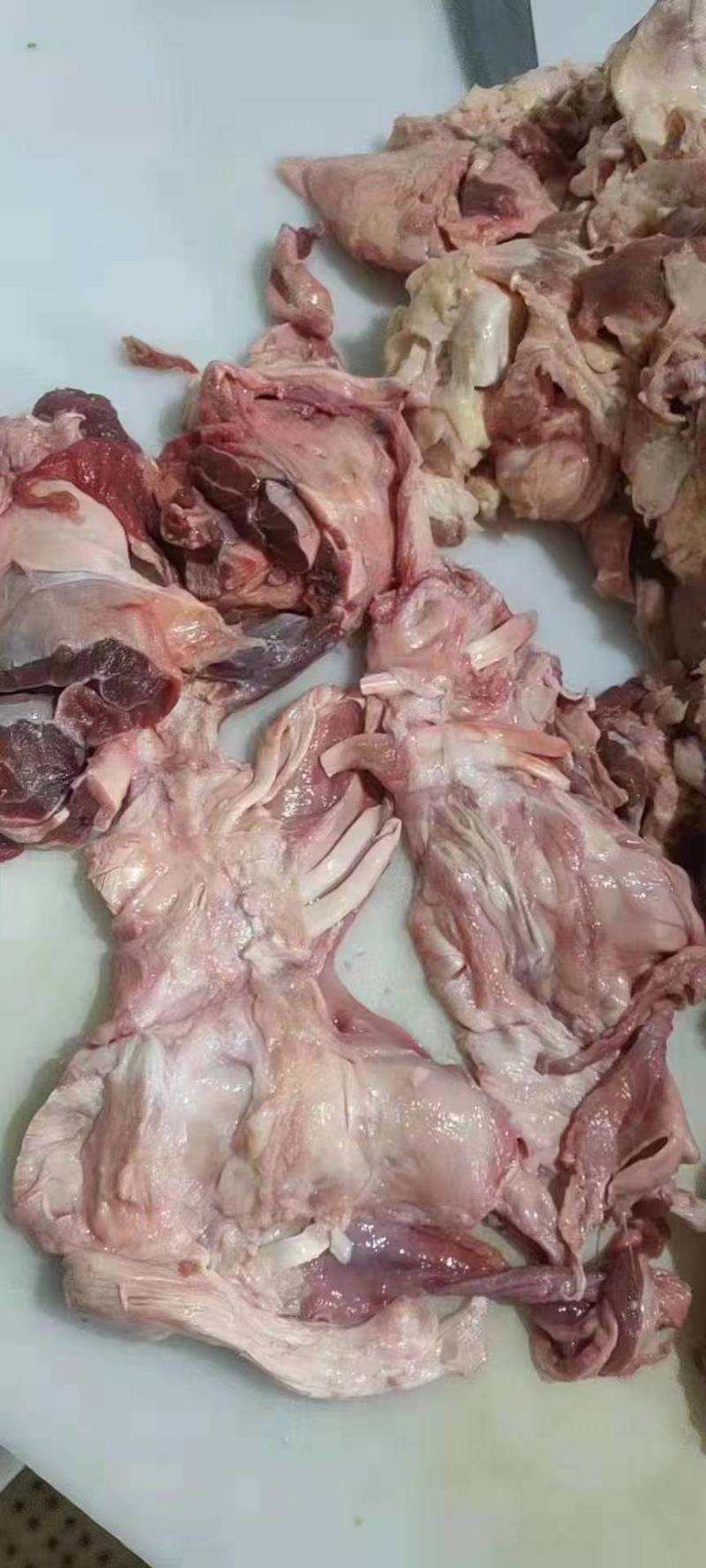 牛筋头巴脑