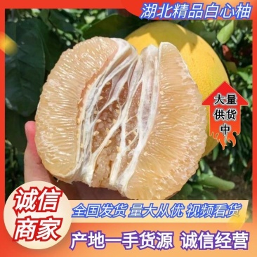 湖北柚子白柚琯溪蜜柚白心柚产地直供甜美多汁全国发货