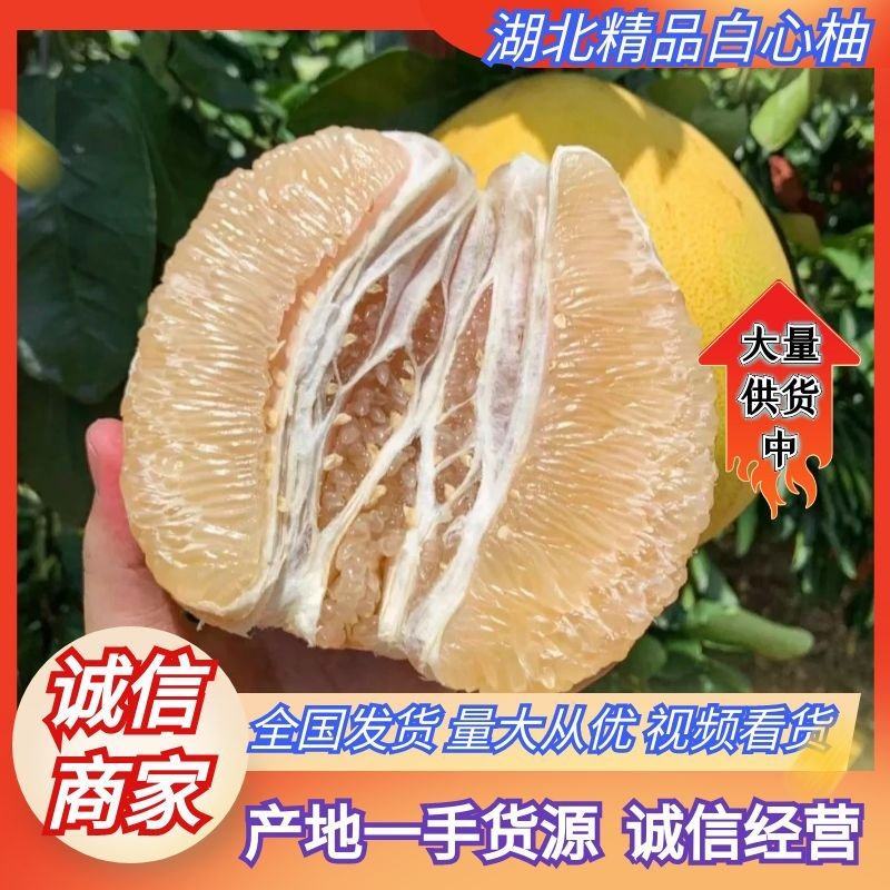 湖北柚子白柚琯溪蜜柚白心柚产地直供甜美多汁全国发货