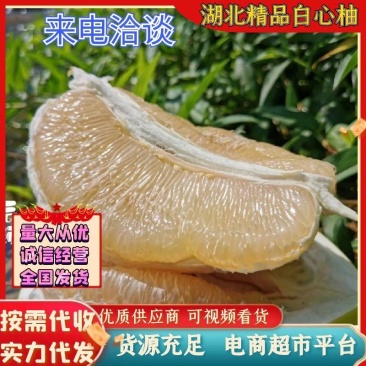 【精品】湖北优选柚子套袋白心蜜柚，产地一手货源，实力供应