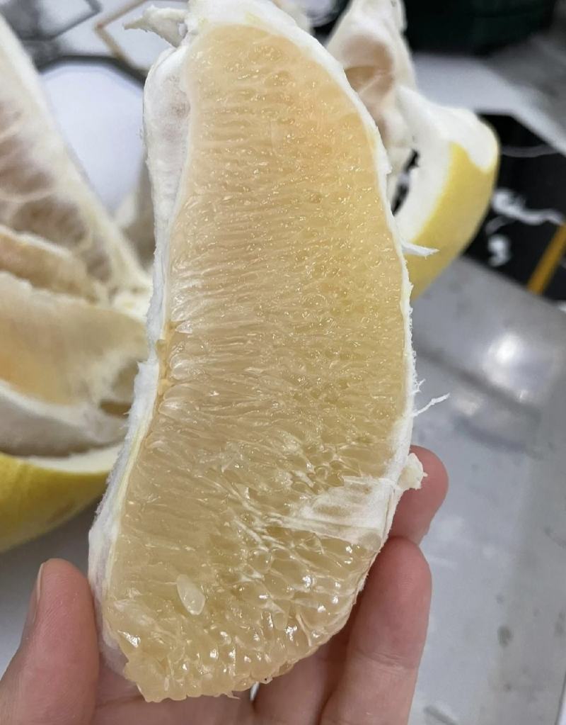 【精品】湖北优选柚子套袋白心蜜柚，产地一手货源，实力供应
