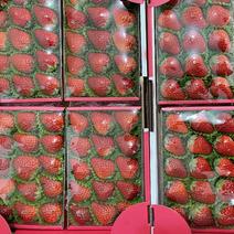 丹东草莓高端15粒
