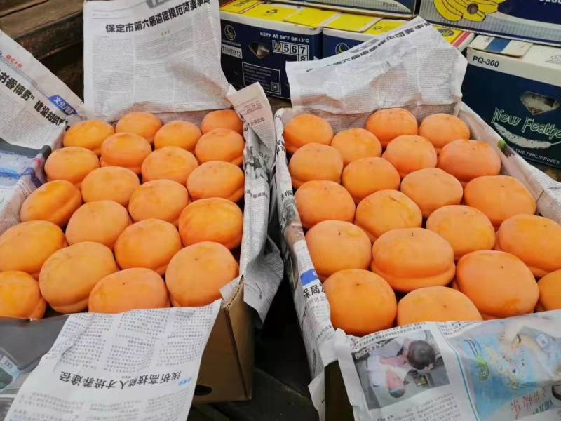 磨盘柿子箱装货大量有货需要的联系