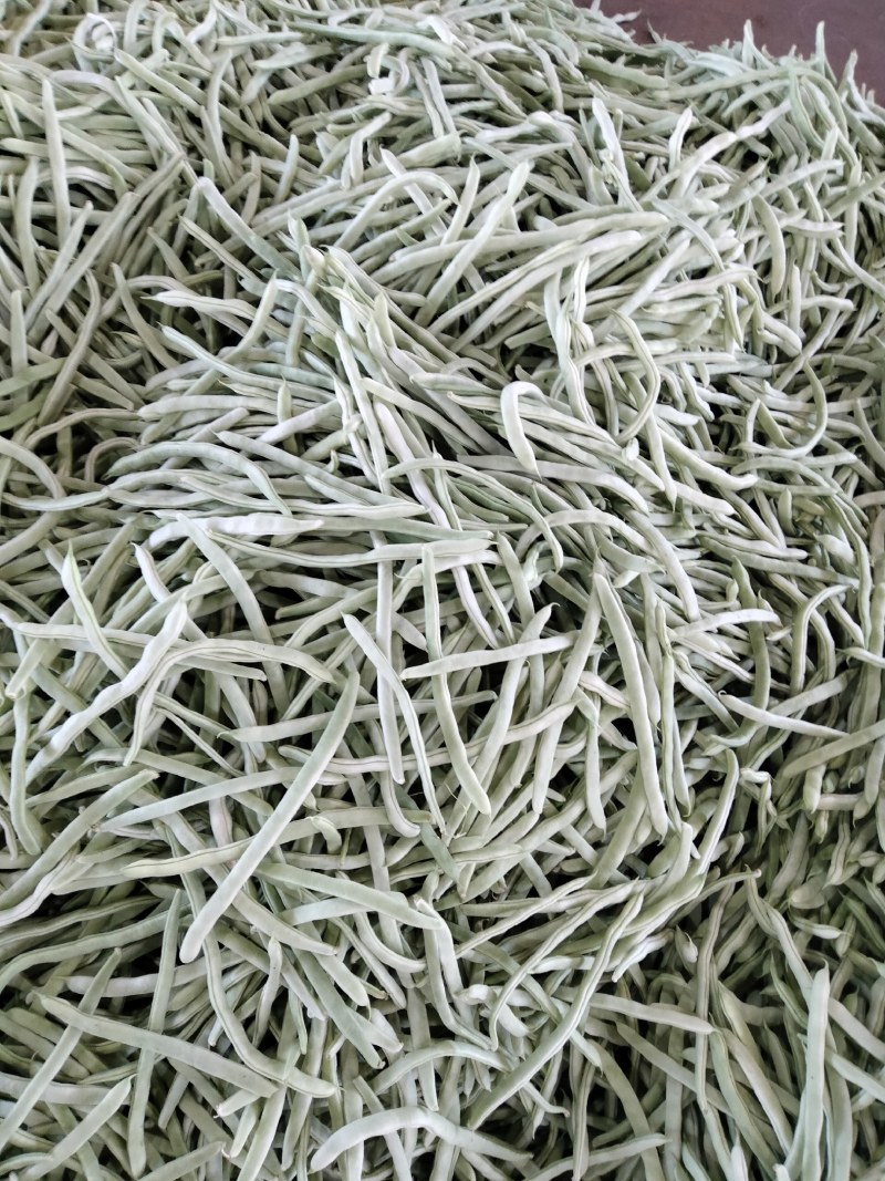 蔬菜——扁豆