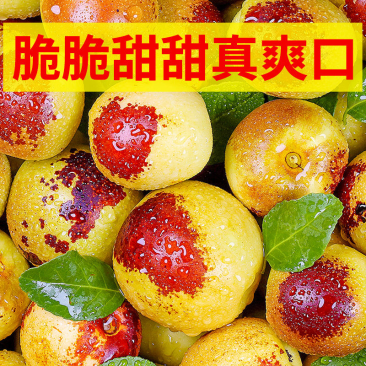 【实力】沾化冬枣产地直供对接市场团购电商一件代发