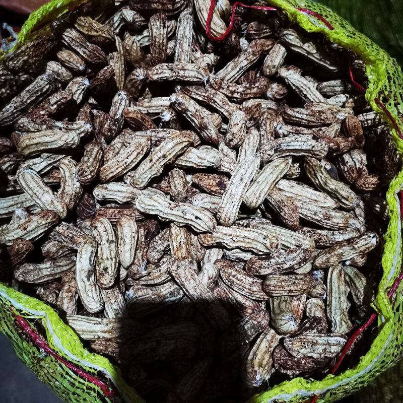 云南建水精品七彩花生。颗粒饱满。口感香甜。