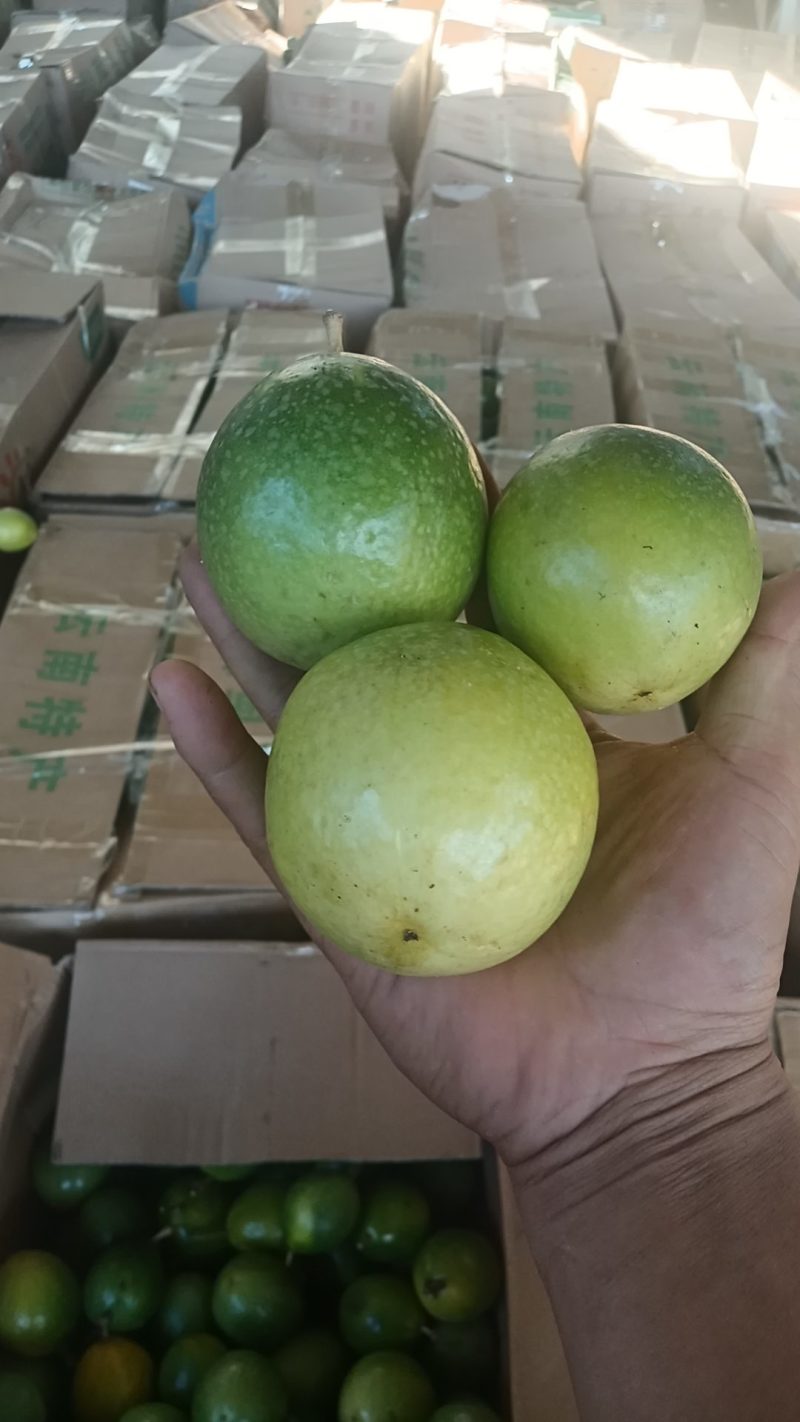 黄金果烂市，，给价就卖