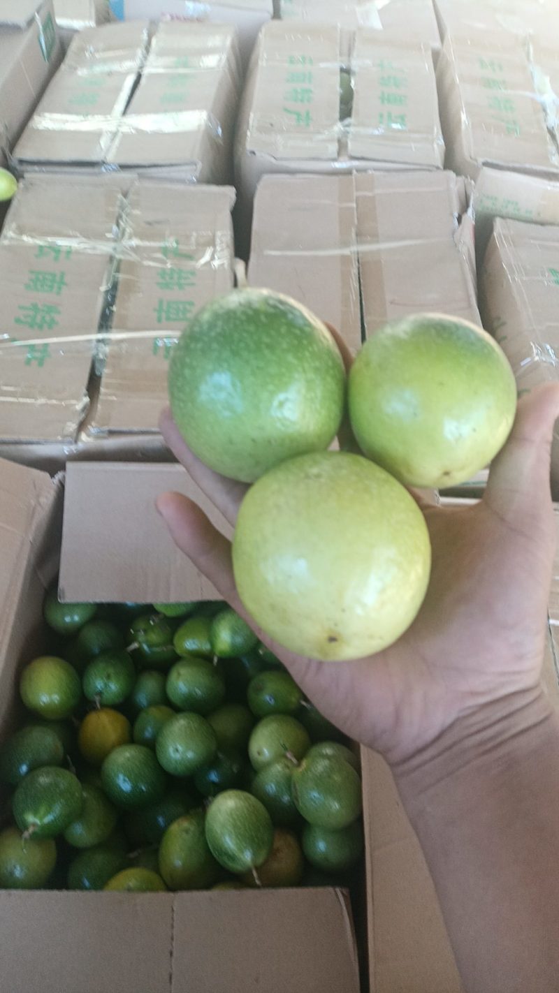 黄金果烂市，，给价就卖