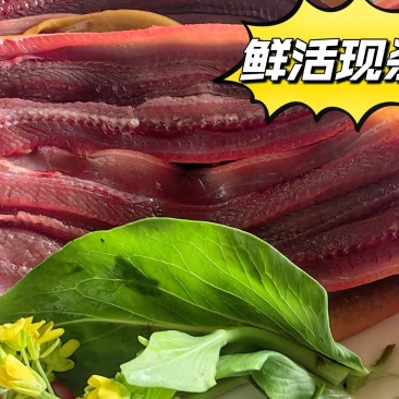 【荐】鳝鱼片水产物美价廉一手货源直发鲜活现杀发货