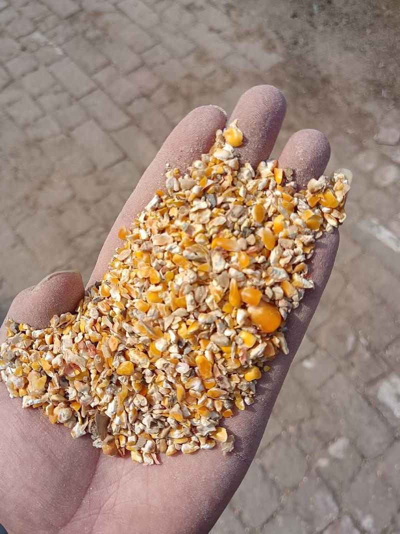 碎玉米净粮下脚料，适合鸡鸭鹅猪牛羊使用，降低养殖成本