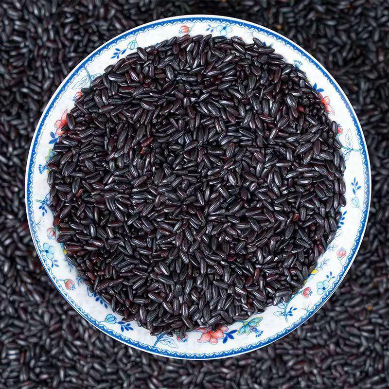 黑米批发50斤五常黑香米东北黑大米黑米粥黑珍珠黑米
