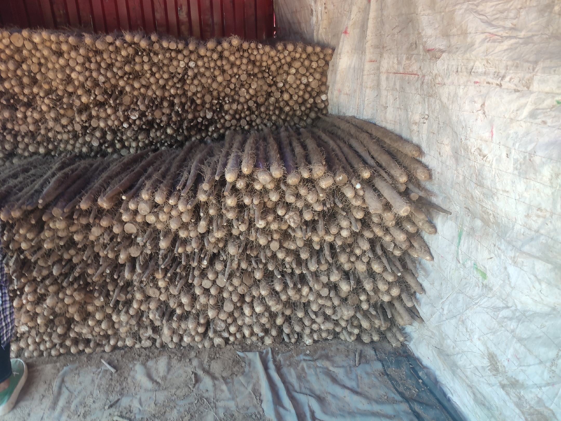 市场上的双棒山药展示