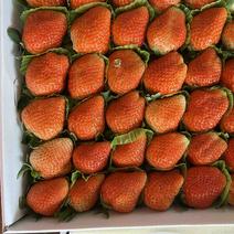 云南冬草莓