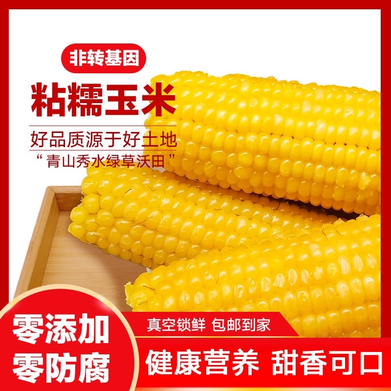 精品黄玉米