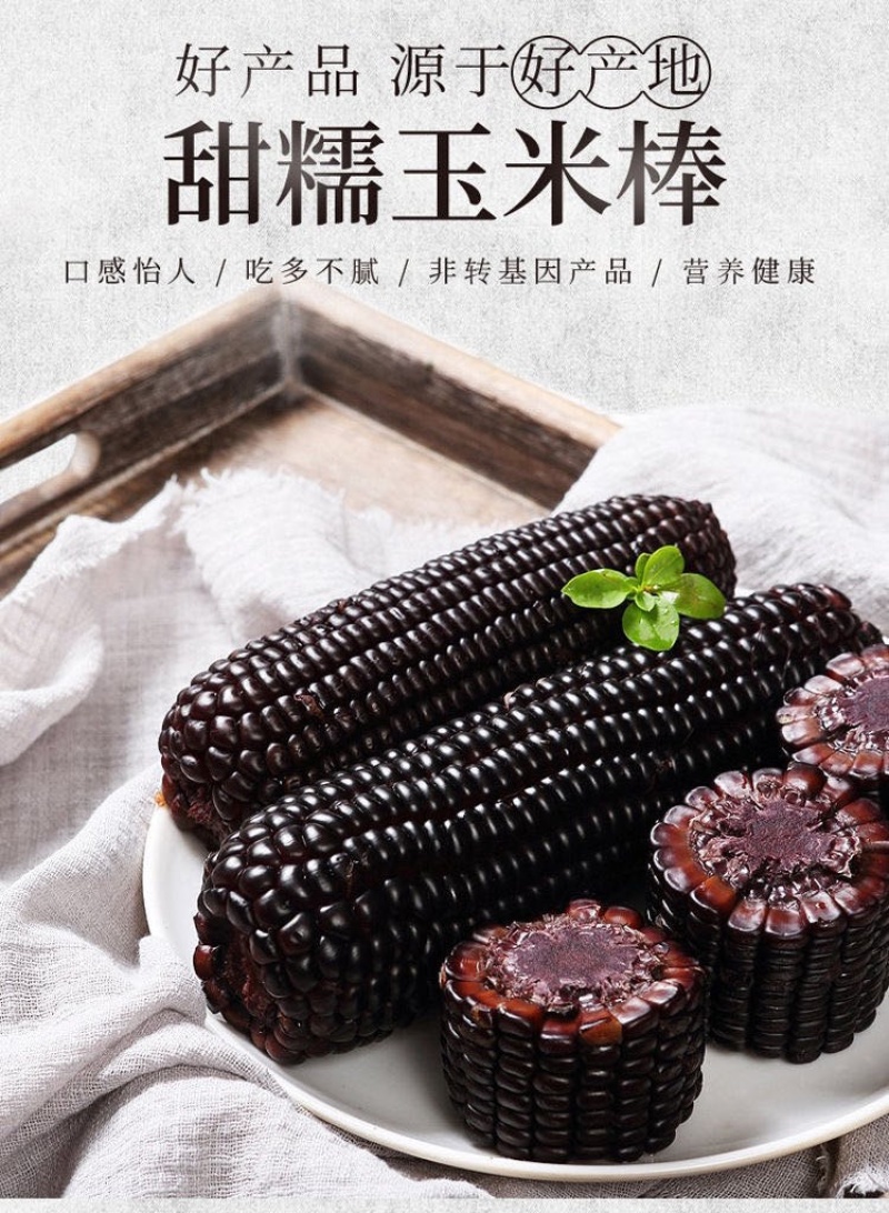 精品黑玉米