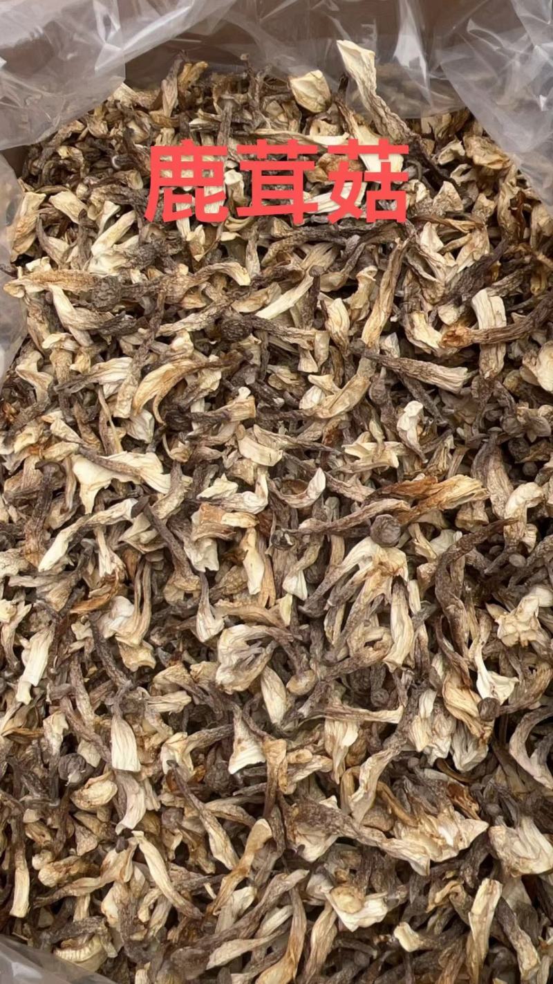 鹿茸菇干净均匀营养丰富适合所有人群食用1件10斤常年批发
