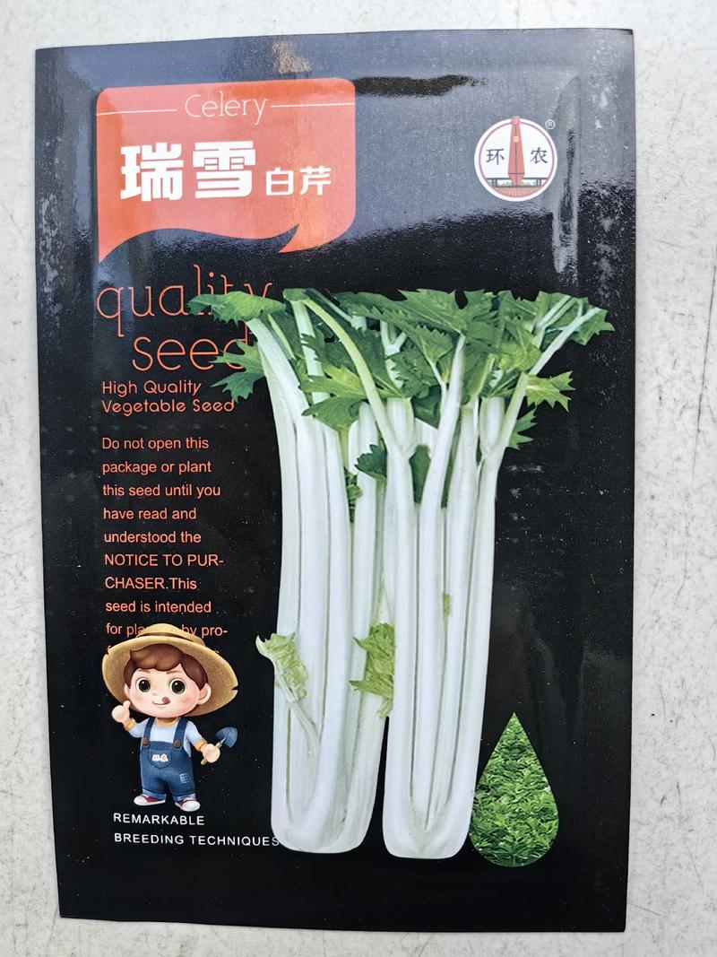 白芹菜种子瑞雪白芹纤维少耐热耐寒小香芹四季白芹菜蔬菜种子