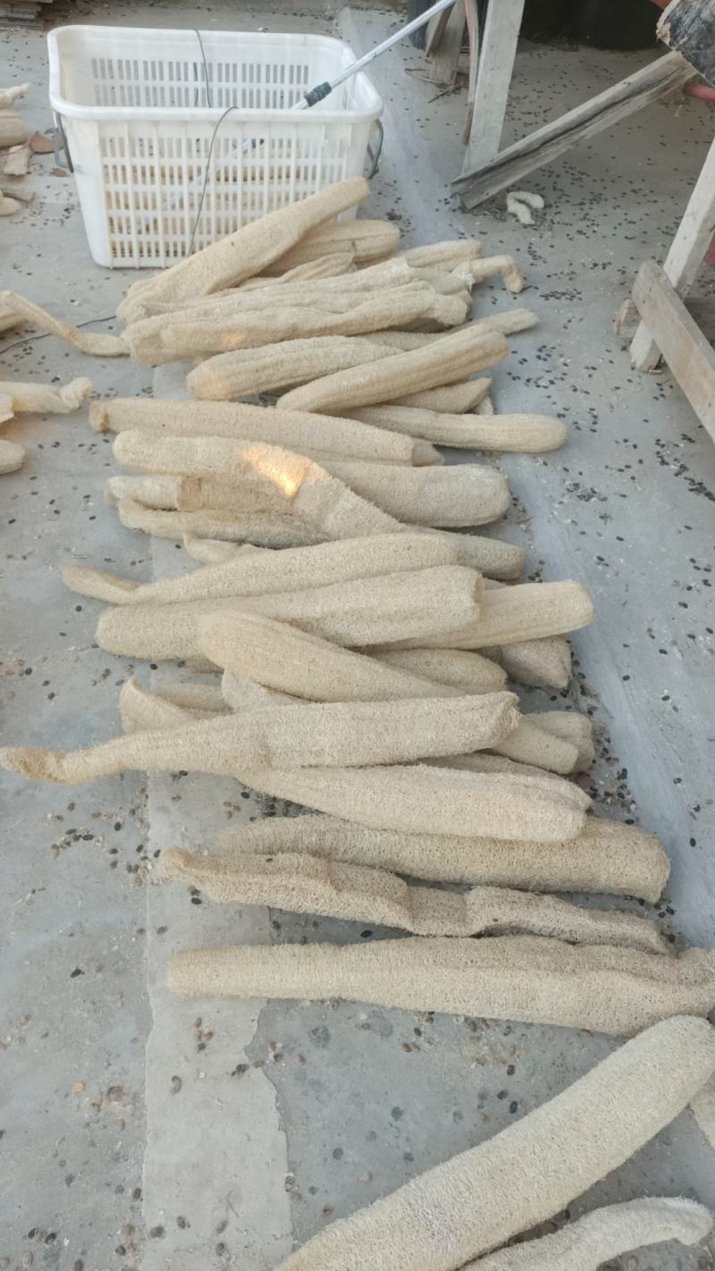 优质天然丝瓜络，一手货源，刷锅洗碗做蒸笼搓澡巾民用