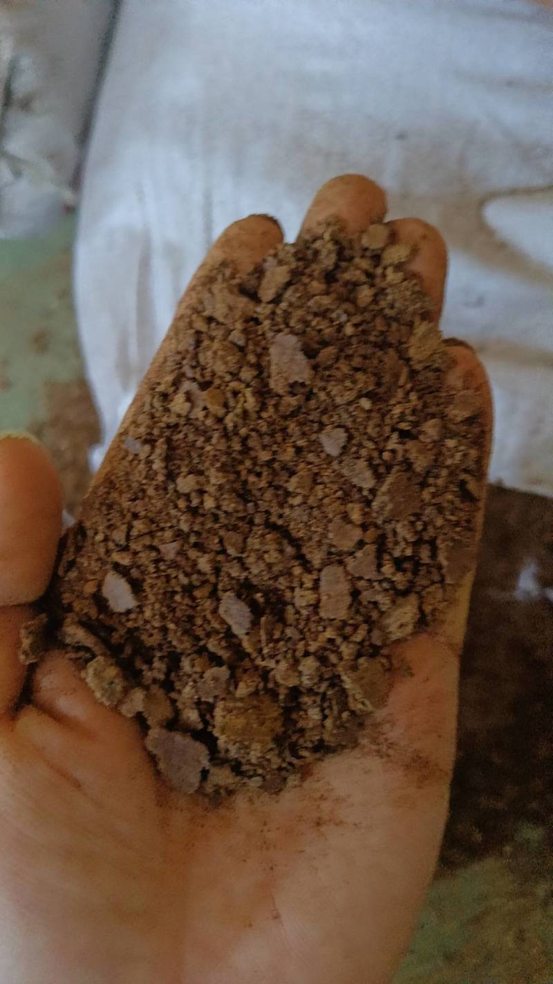 优质菜籽饼黄饼